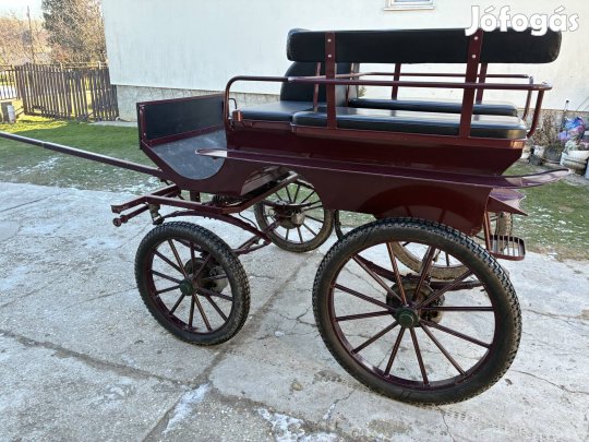 Jártató kocsi!