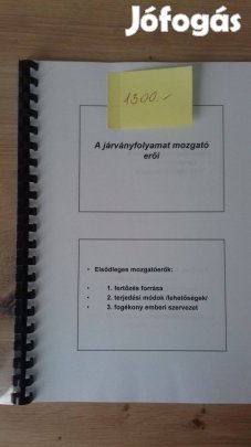 Járványtan főiskolai jegyzet