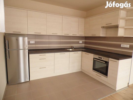Jász utcában, újszerű, 46 nm-es, 2 szobás, erkélyes lakás kiadó!
