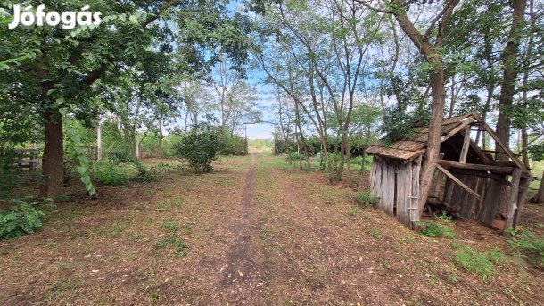 Jászberényhez közel nagy telekkel tanya eladó