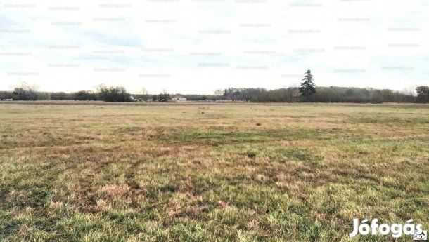 Jászszentlászlón külterületi telek eladó