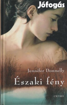 Jennifer Donnelly: Északi fény