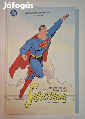 Jeph Loeb, Tim Sale - Superman az örökkévalóságnak (képregény)