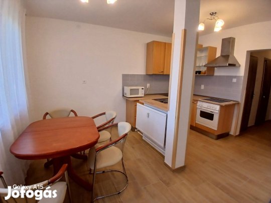 Jerikó utcán felújított berendezett 2 szobás lakásban szoba kiadó