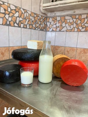 Jersey A2 - A2 tehéntej és Kistermelői tanyasi termékek