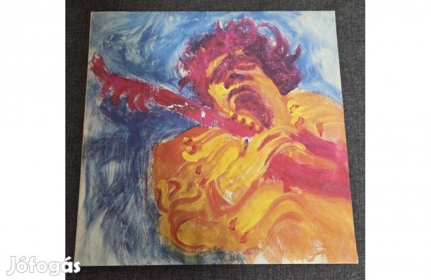 Jimi Hendrix The Jimi Hendrix Concerts Vinyl Album