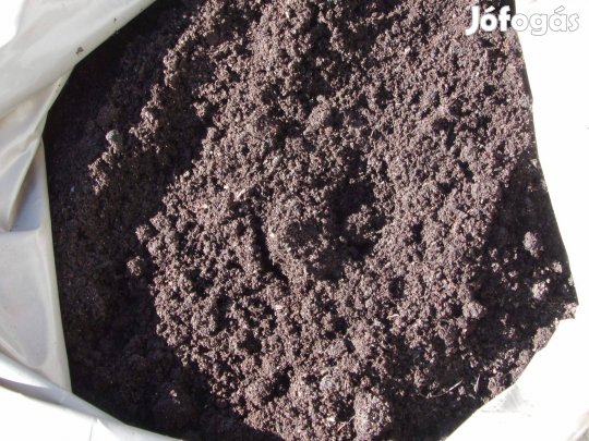 Jó Érett Borjú trágya komposzt: csemete ciprus növény növények palánta