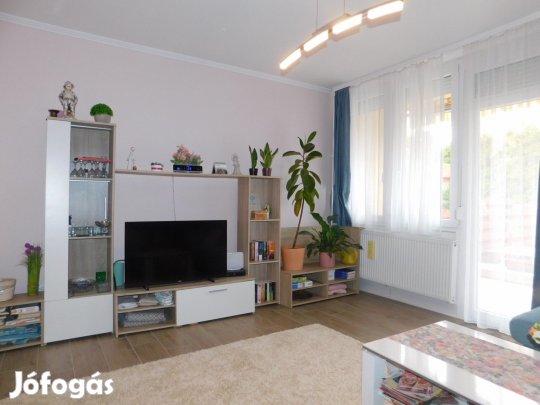 Jó állapotú sorházi lakás eladó!