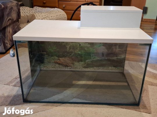 Jó állapotú terrárium eladó!