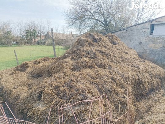 Jó minőségű disznó trágya
