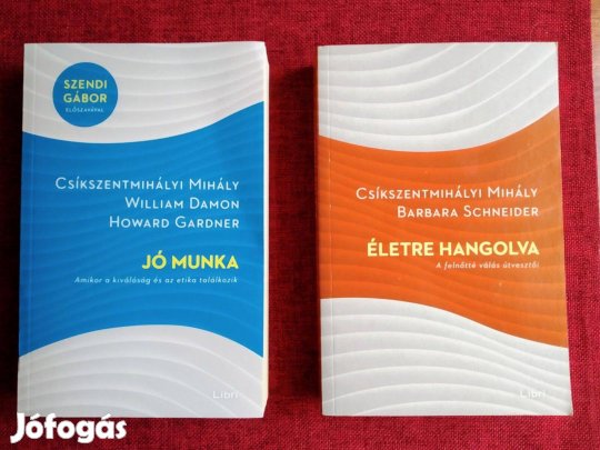 Jó munka - Amikor a kiválóság és az etika találkozik Csíkszentmihályi