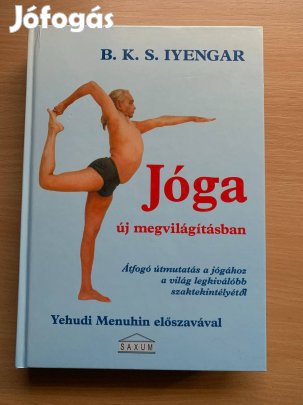 Jóga új megvilágításban - Átfogó útmutatás a jógához a világ legkiváló