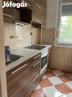 Jósavárosban 36 nm-es felújított lakás kiadó! 13508