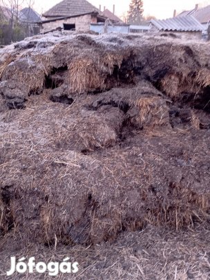 Juh és sertés trágya