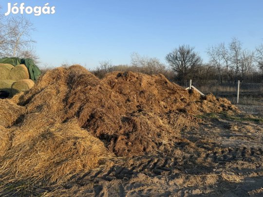 Juh trágya eladó