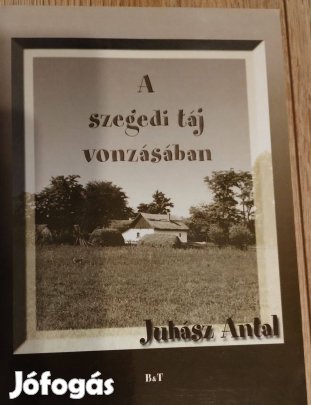 Juhász Antal _ A szegedi táj vonzásában