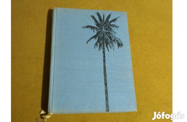 Jules Verne: Nyolcszáz mérföld az Amazonason (Könyv, 1967)