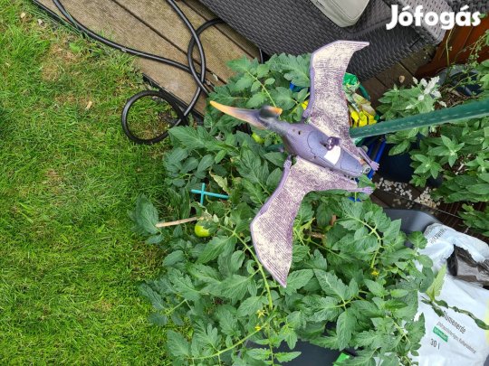 Jurassic World repülő dinoszaurusz, Pterosaurus