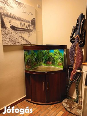 Juwel trigon 190 literes sarok akvárium terrárium tartozékokkal eladó