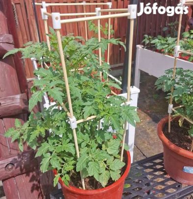 K6B Moduláris 6mm-es Támaszrendszer Növényekhez  Szett (5501)