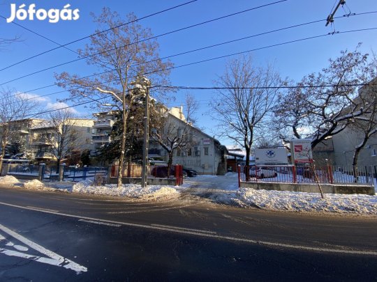 KIADÓ ÜZLETI-CÉLÚ ingatlan Budapest XIV. kerületében  Szugló utcában