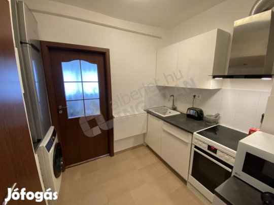 KIADÓ világos, bútorozatlan lakás Zugló szívében Bazsarózsa utcában