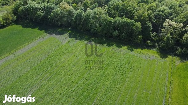 KIVÉTELES LEHETŐSÉG!