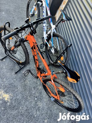 KTM Focus Noi Ferfi Bicikli Kerekpar