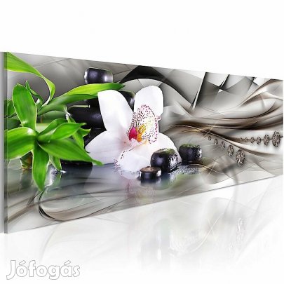 Kp - Zen composition: bamboo, orchid and stones