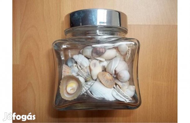 Kagylók, csigák üvegben