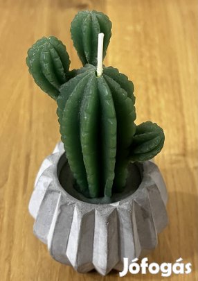 Kaktusz gyertya