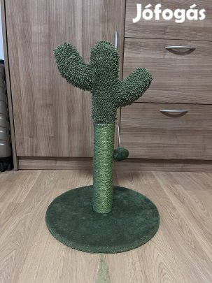 Kaktusz kaparó cicáknak