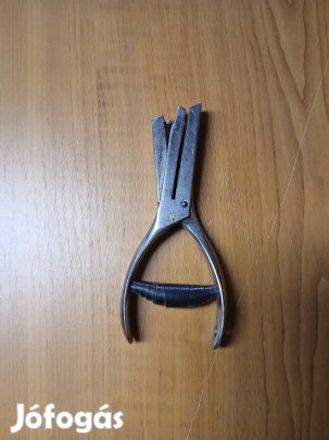 Kalauz jegylyukasztó