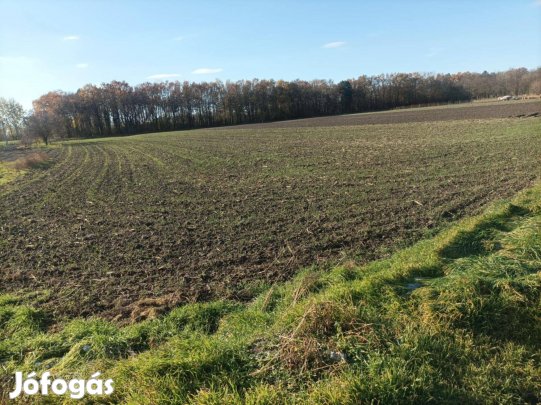 Kalocsai építési telek - Foktői út