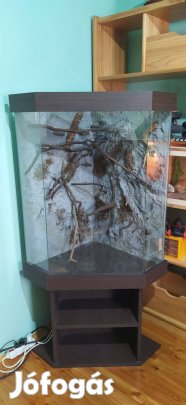 Kaméleon terrárium