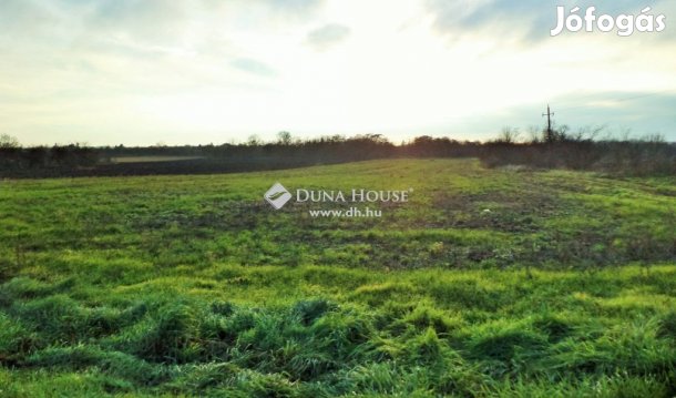 Kápolnásnyéki eladó 10000 nm-es telek