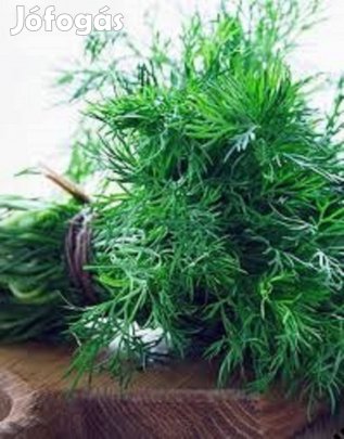 Kapormag nem bolti retromag