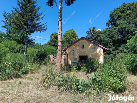 Kaposgyarmaton erdei kisház eladó