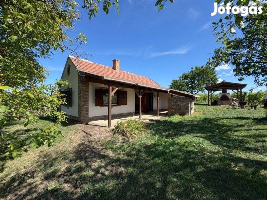 Kaposhomokon Igényes Szőlőbirtok Eladó