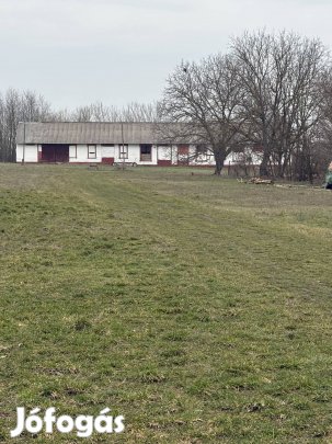 Kaposvár raktár telephely kiadó 