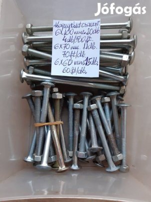 Kapupánt csavar 6*60 mm méretű