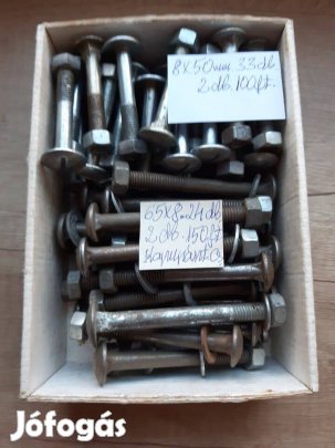 Kapupánt csavar 8*65 mm méretű