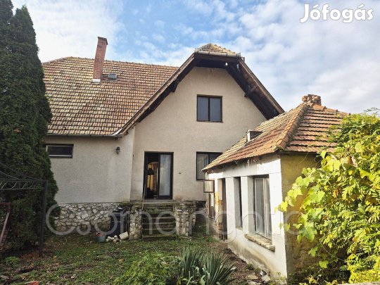 Kapuvár - frekventált utcában 110 m2-es ház eladó