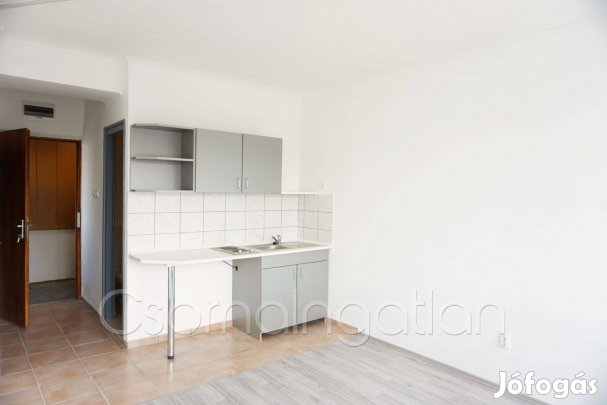 Kapuvár - kiadó stúdiólakás