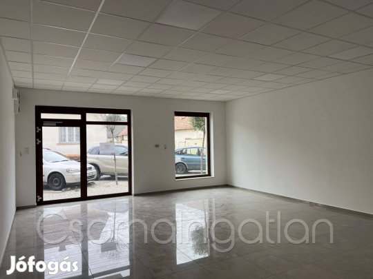 Kapuvár - központban kiadó üzlet /iroda