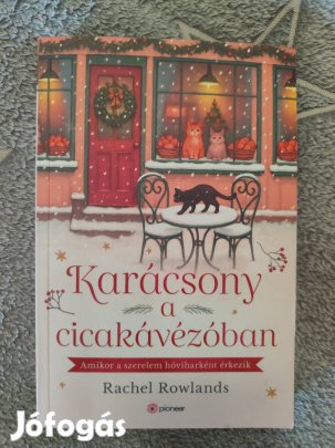Karácsony a cicakávézóban, élfestett kiadás 