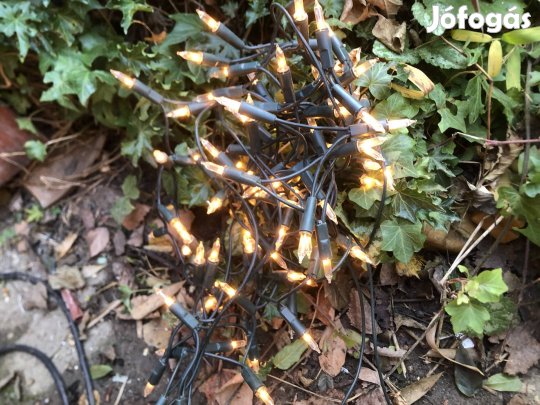 Karácsonyi izzosor 2500 Ft 