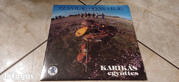 Karikás bakelit hanglemez