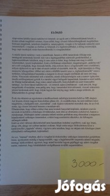 Karlinger Kinga: Mágneses rezonancia