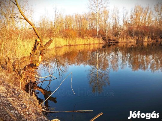 Károlyházán 5 hektáros terület tóval eladó